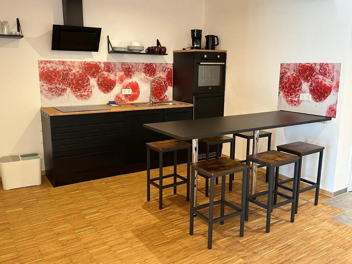 Ebm-Apartments Altenmuenster Mit Wallbox Apartment Altenmunster
